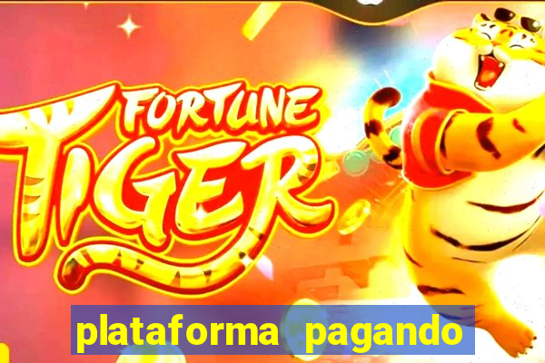 plataforma pagando no cadastro tigre